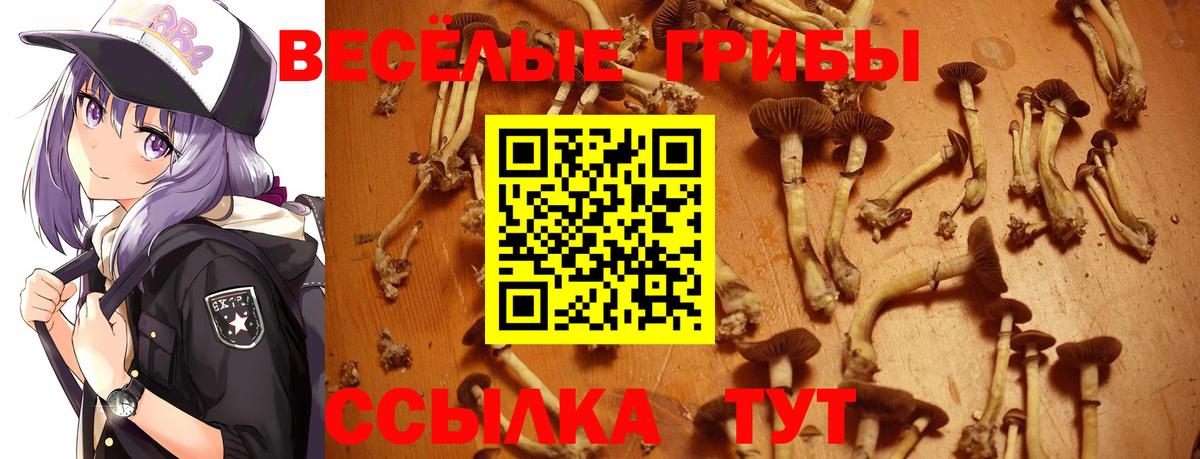 Псилоцибиновые грибы Psilocybine cubensis  Вход с VPN  Псилоцибиновые грибы мухоморы  Узловая 